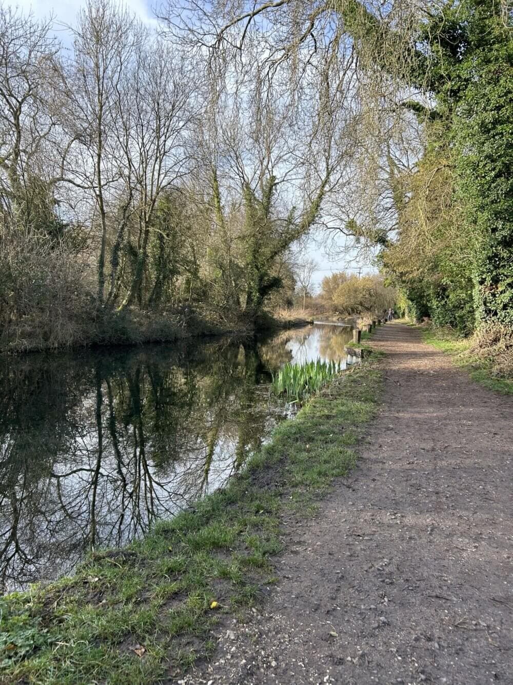 Odiham canal, in Hook
