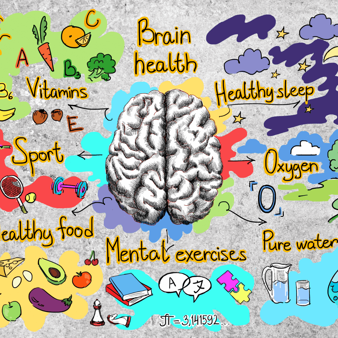 Illustration of a brain with elements promoting health like food, exercise, sleep, and water surrounding it. - Home Instead
