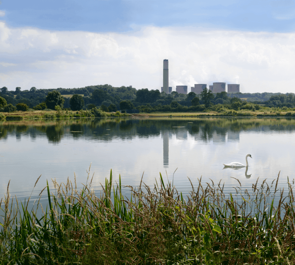 Attenborough Nature Reserve
