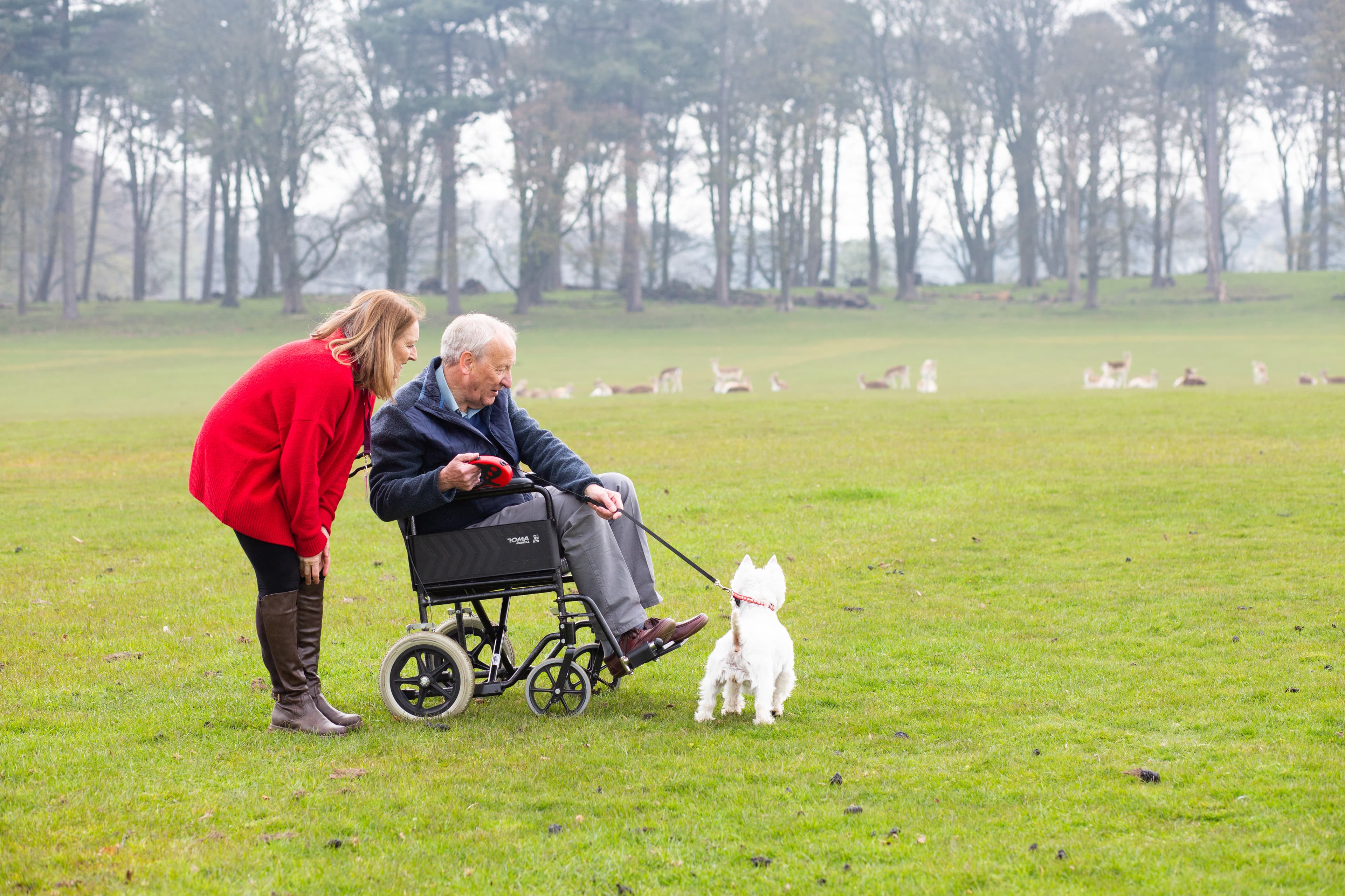 A woman in a red coat leans to assist an elderly man in a wheelchair while walking a white dog in a grassy park. - Home Instead