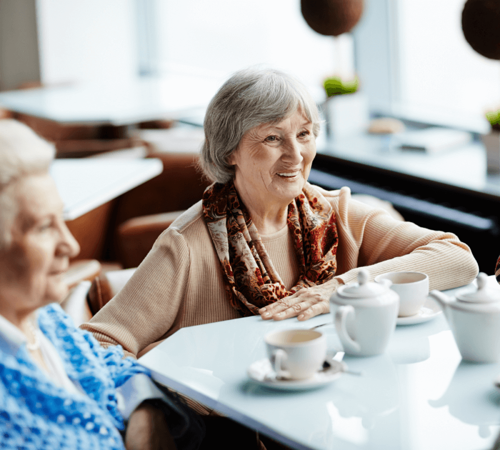 Memory Cafe and Companionship