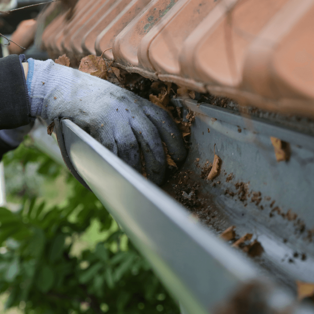 Person wearing gloves cleaning leaves and debris from a house gutter with a tool, with foliage in the background. - Home Instead