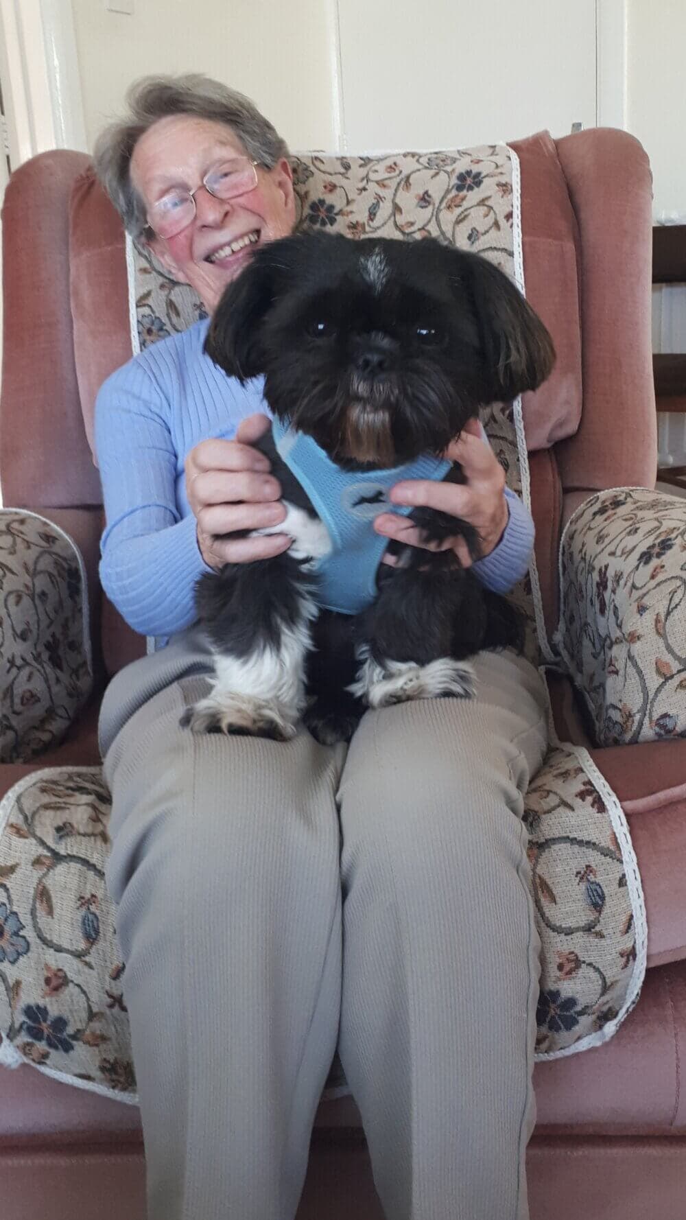 A person sitting in an armchair, smiling, and holding a small black dog wearing a blue harness on their lap. - Home Instead