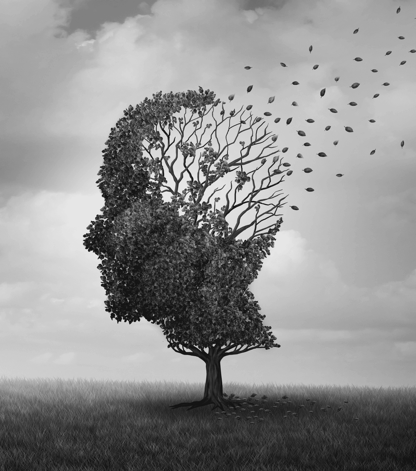 A tree shaped like a human head, with leaves blowing away from the upper right, symbolizing memory loss, against a cloudy sky. - Home Instead
