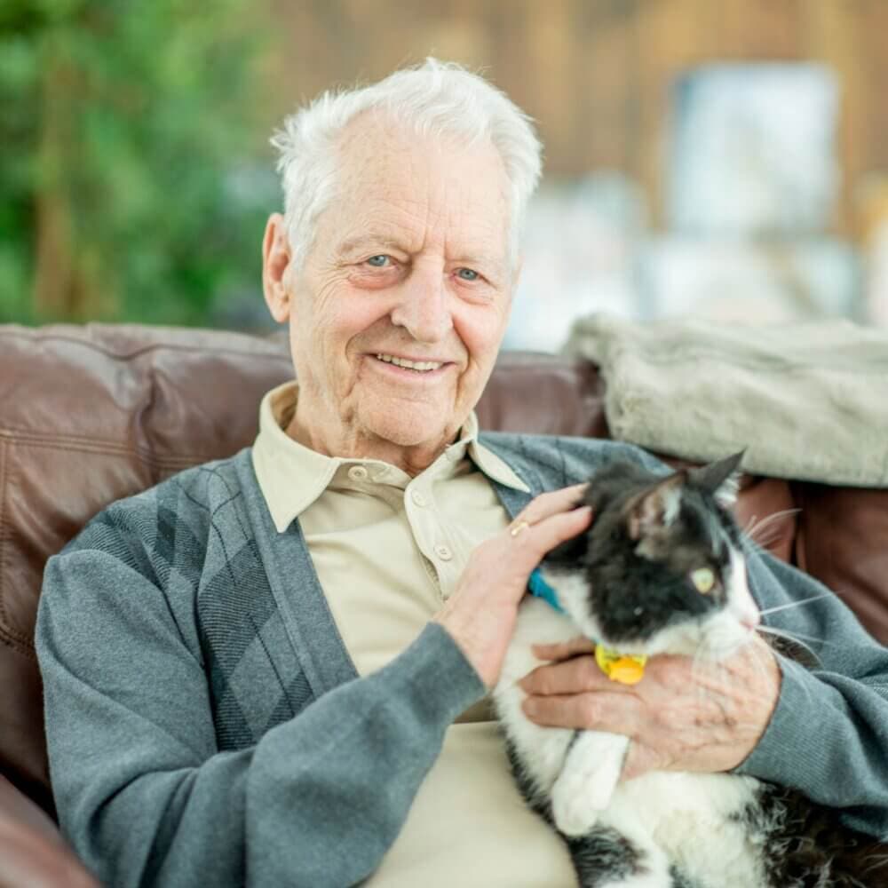 An elderly man sitting on a sofa, smiling and holding a black and white cat. - Home Instead