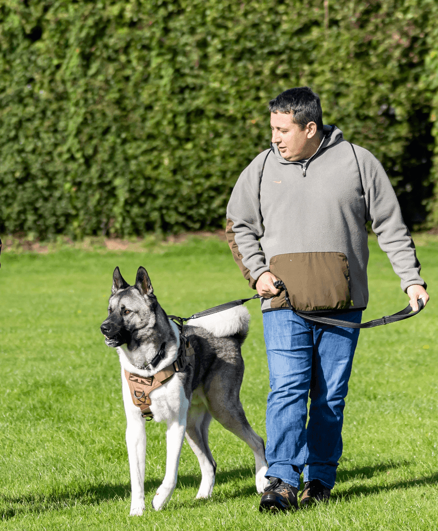Therapy dog out with owner