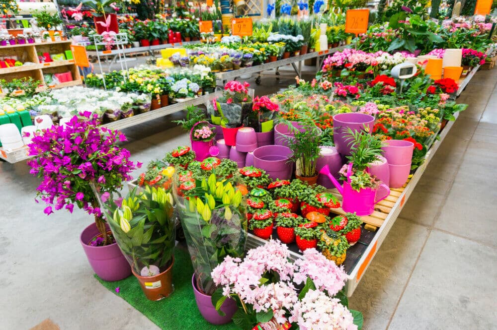 Various colorful flowers and plants in pots on display in a garden center, arranged neatly on tables. - Home Instead