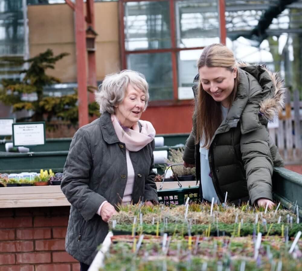 Summer program Bristol North