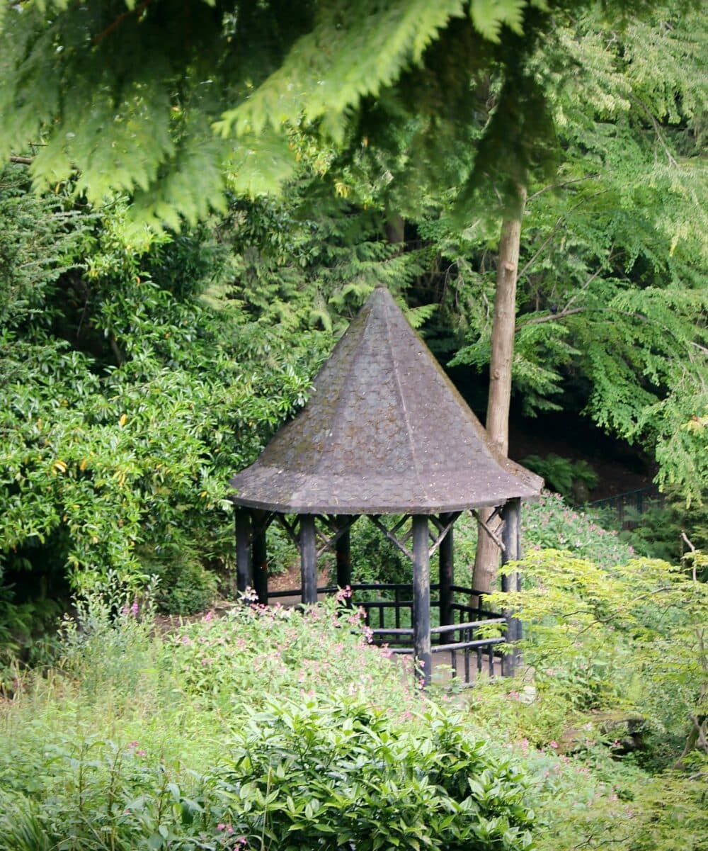 A small, rustic gazebo with a conical roof is surrounded by lush greenery and trees in a tranquil forest setting. - Home Instead