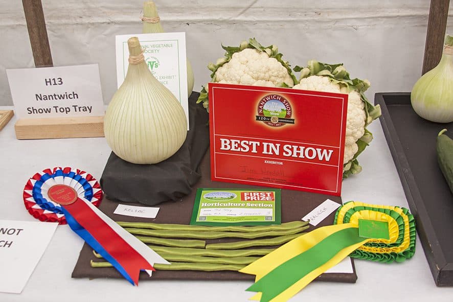 Vegetables displayed with award ribbons and a "Best in Show" certificate at the Nantwich Show. - Home Instead
