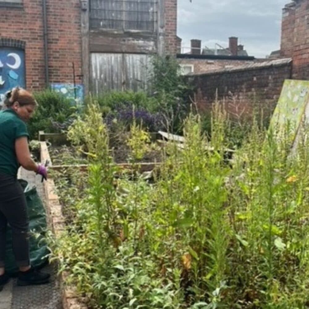 Person weeding a garden bed in an urban area, with brick buildings and graffiti in the background. - Home Instead