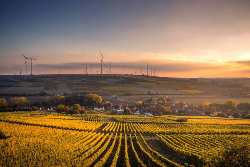 A sunset over a countryside landscape featuring wind turbines, fields, and a small village surrounded by autumnal trees. - Home Instead