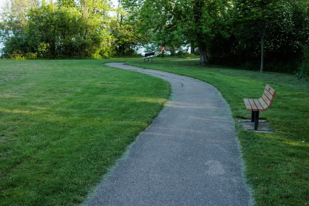 A winding path through a green park with trees, benches, and a grassy area on a sunny day. - Home Instead