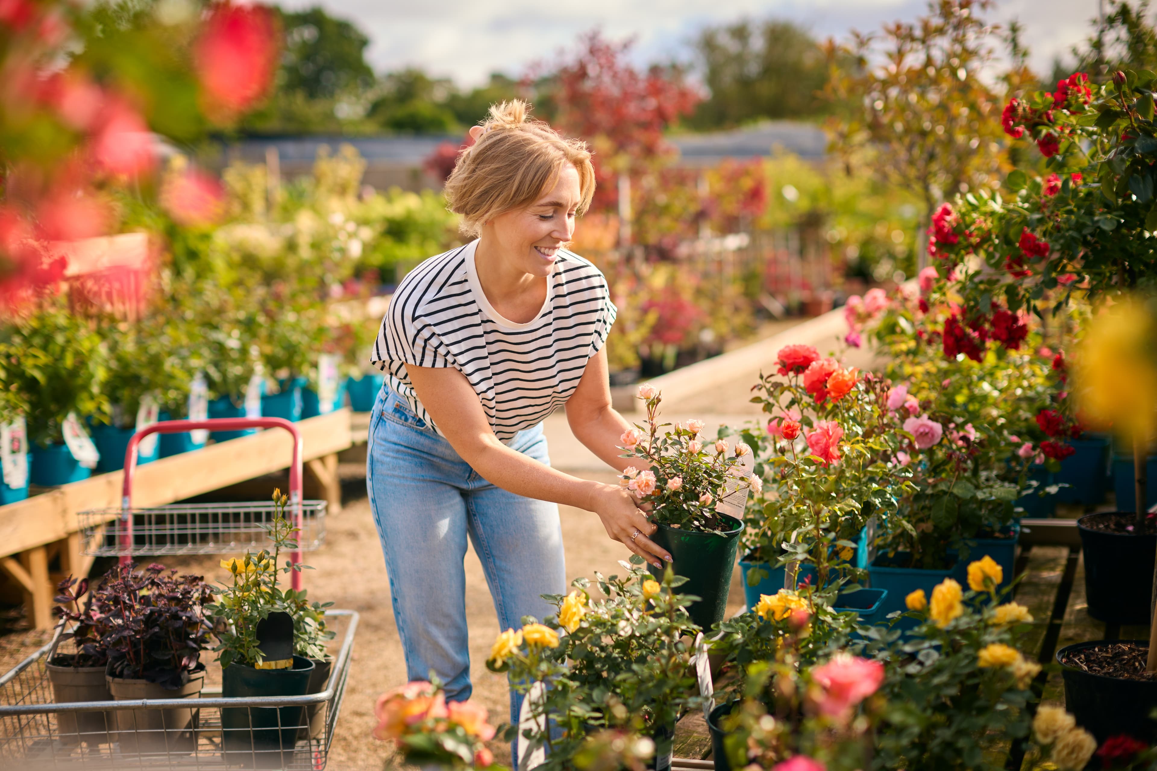 Woman in striped shirt smiles while picking a potted plant at an outdoor garden center with colorful flowers. - Home Instead