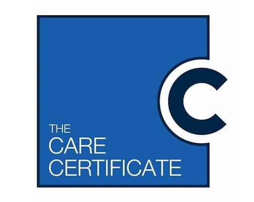 A blue square logo with "The Care Certificate" text and a large white letter "C" on the right side. - Home Instead