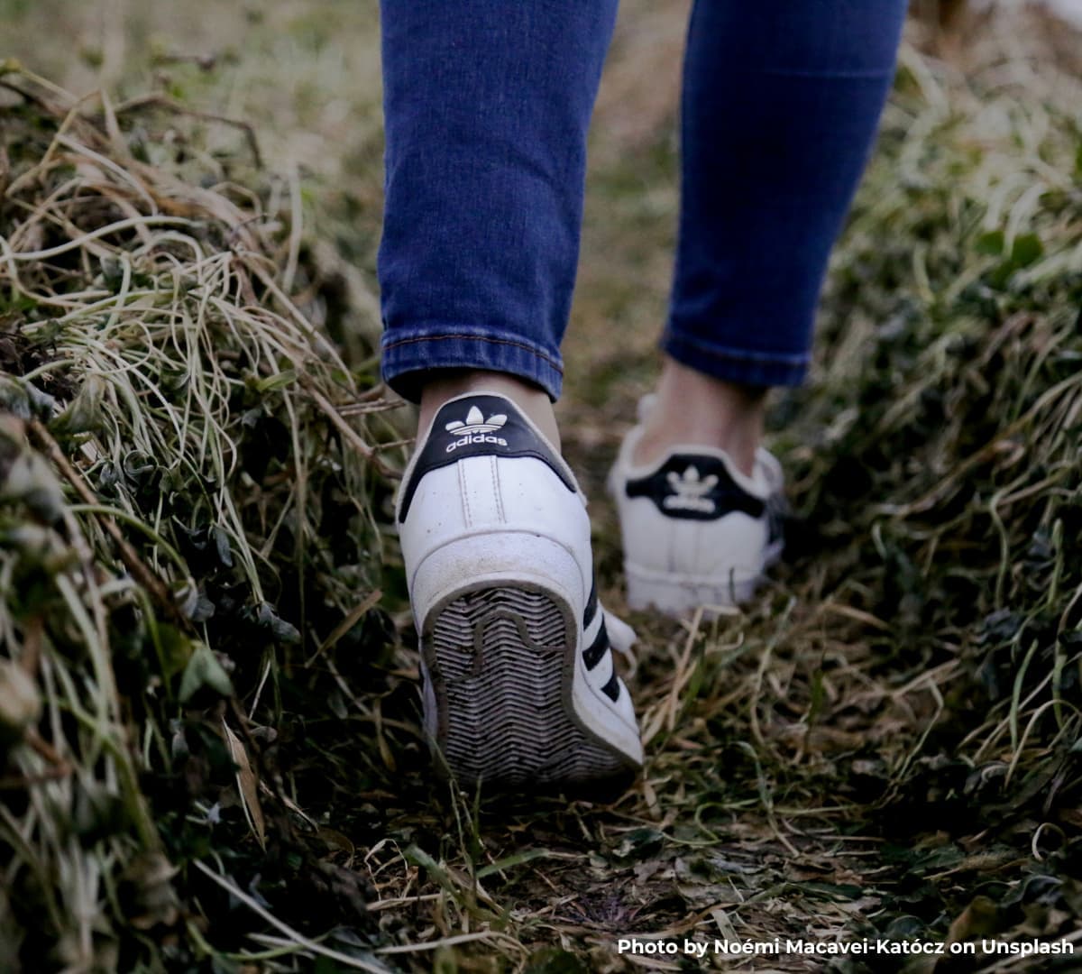 Our Central Nottingham team joins our local Alzheimer’s Memory Walk 2024