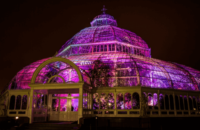 The Palm House at Sefton Park, Liverpool illuminated in purple for World Alzheimer's Day.