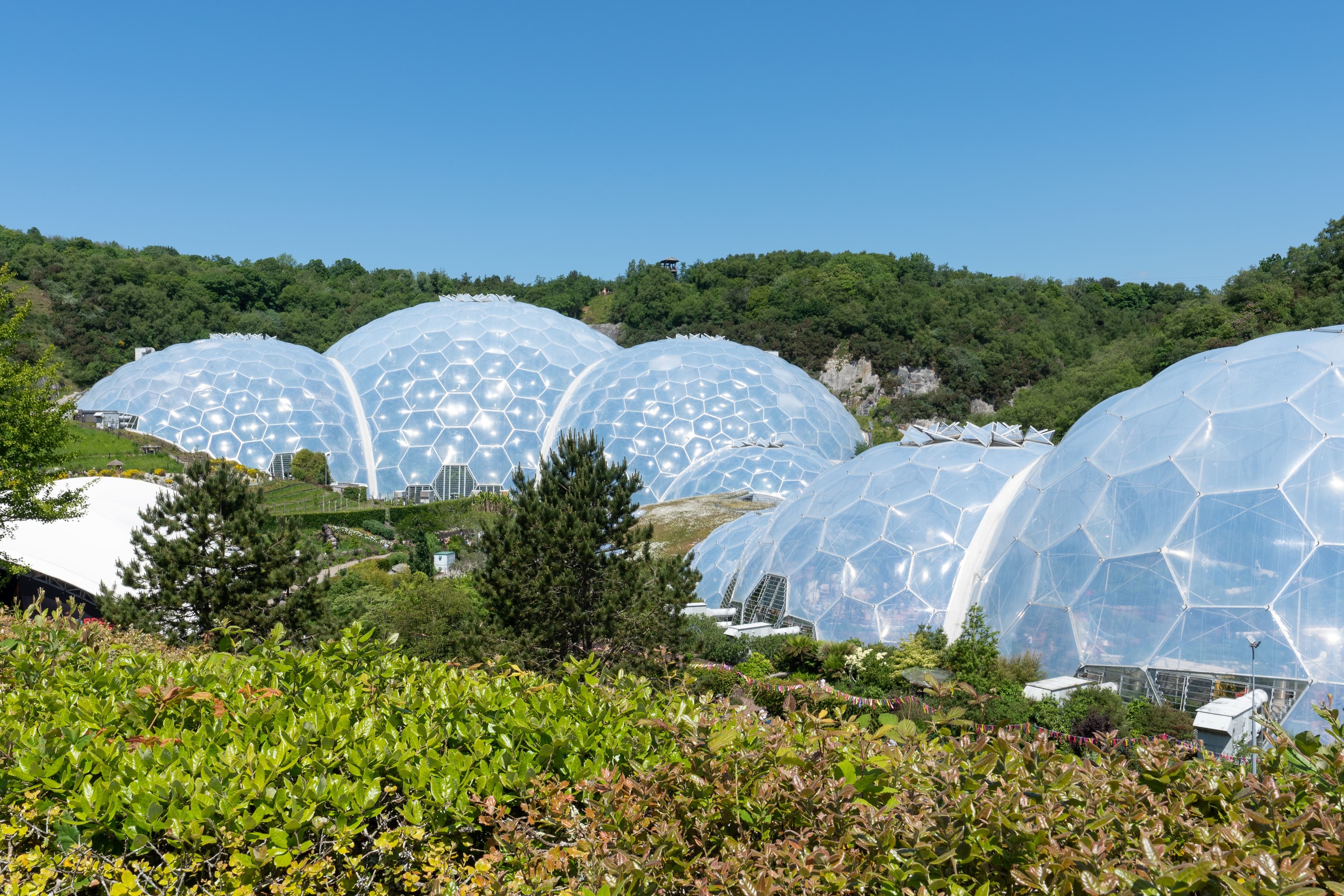 Eden Project Domes