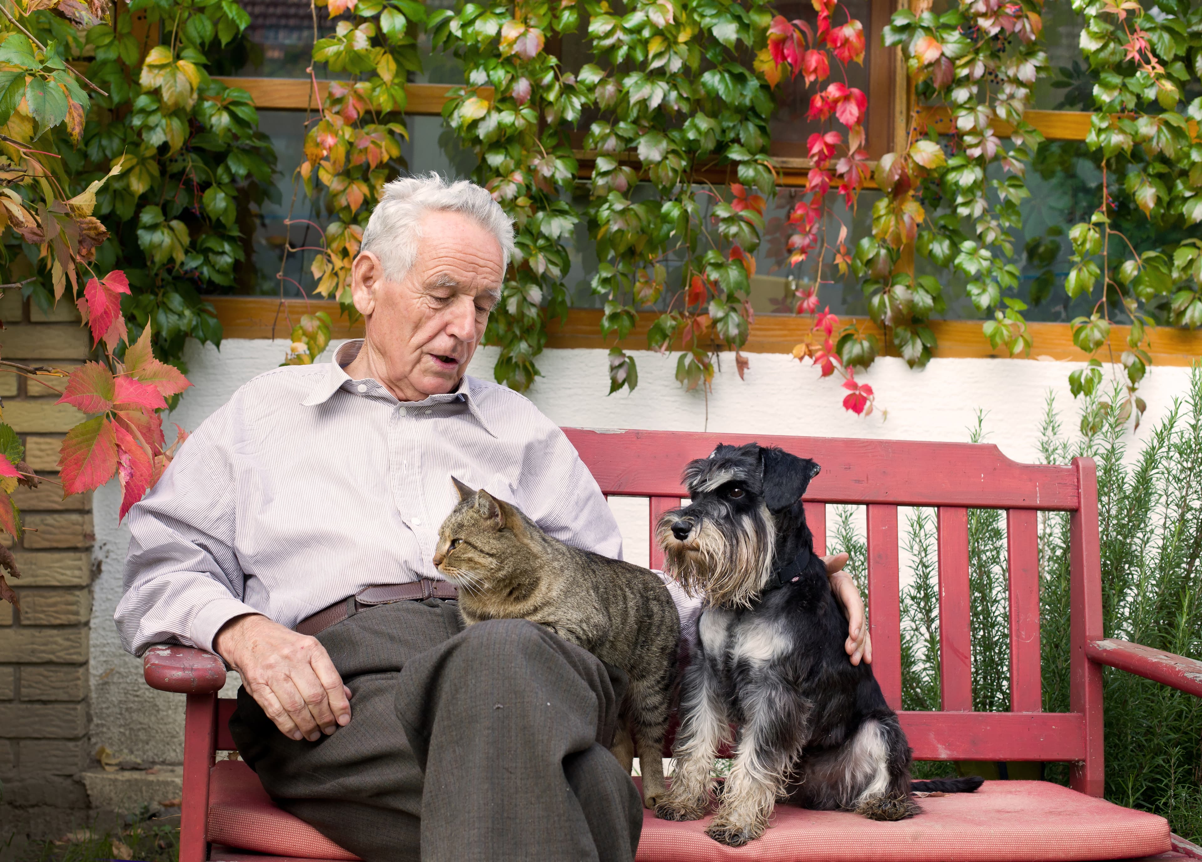 Old man living with his pets at home sitting on a bench