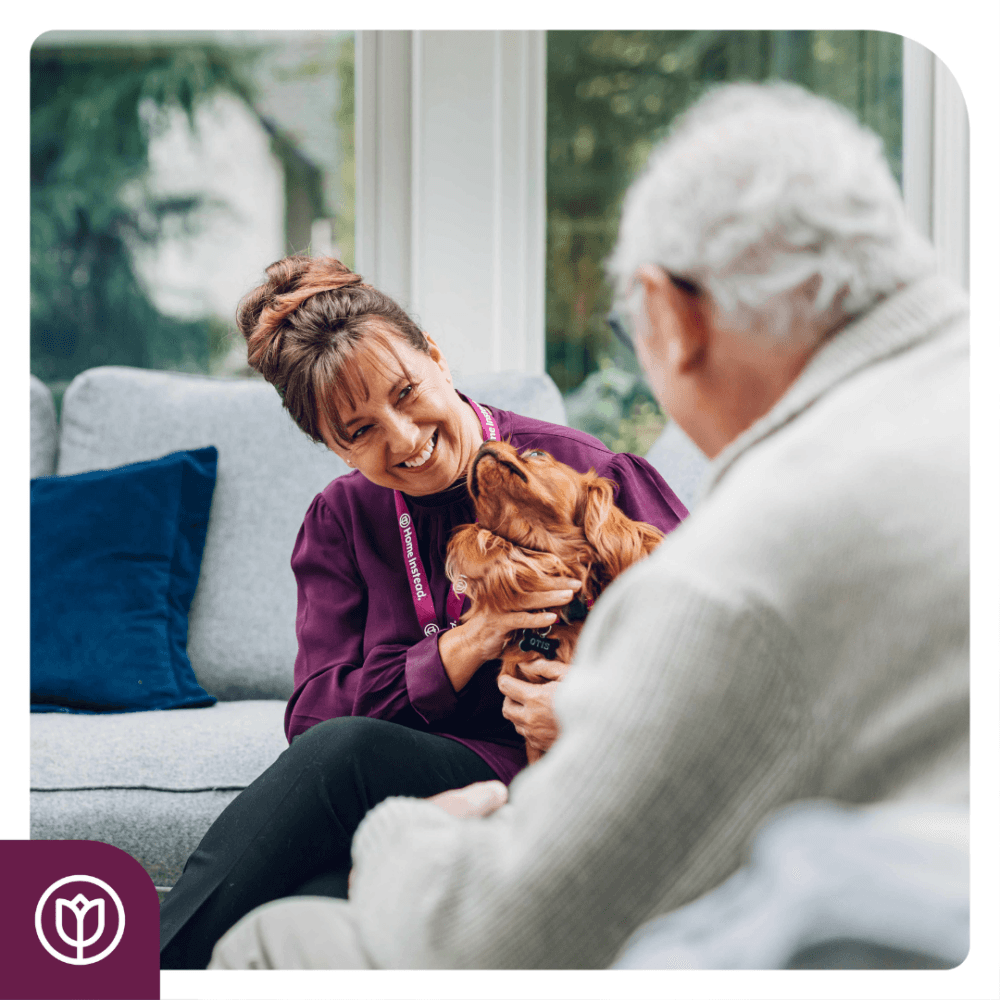 Woman smiling at a brown dog on a sofa, talking to an elderly man in a cozy room. - Home Instead
