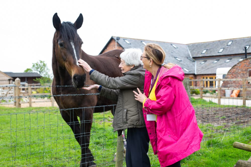 Two women pet a brown horse over a fence in a grassy area near farm buildings. - Home Instead