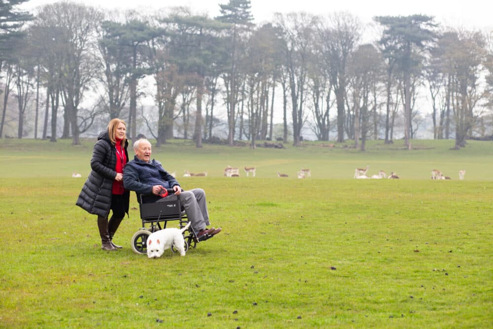 A woman pushes a man in a wheelchair in a park with deer, while a small dog walks alongside on green grass. - Home Instead