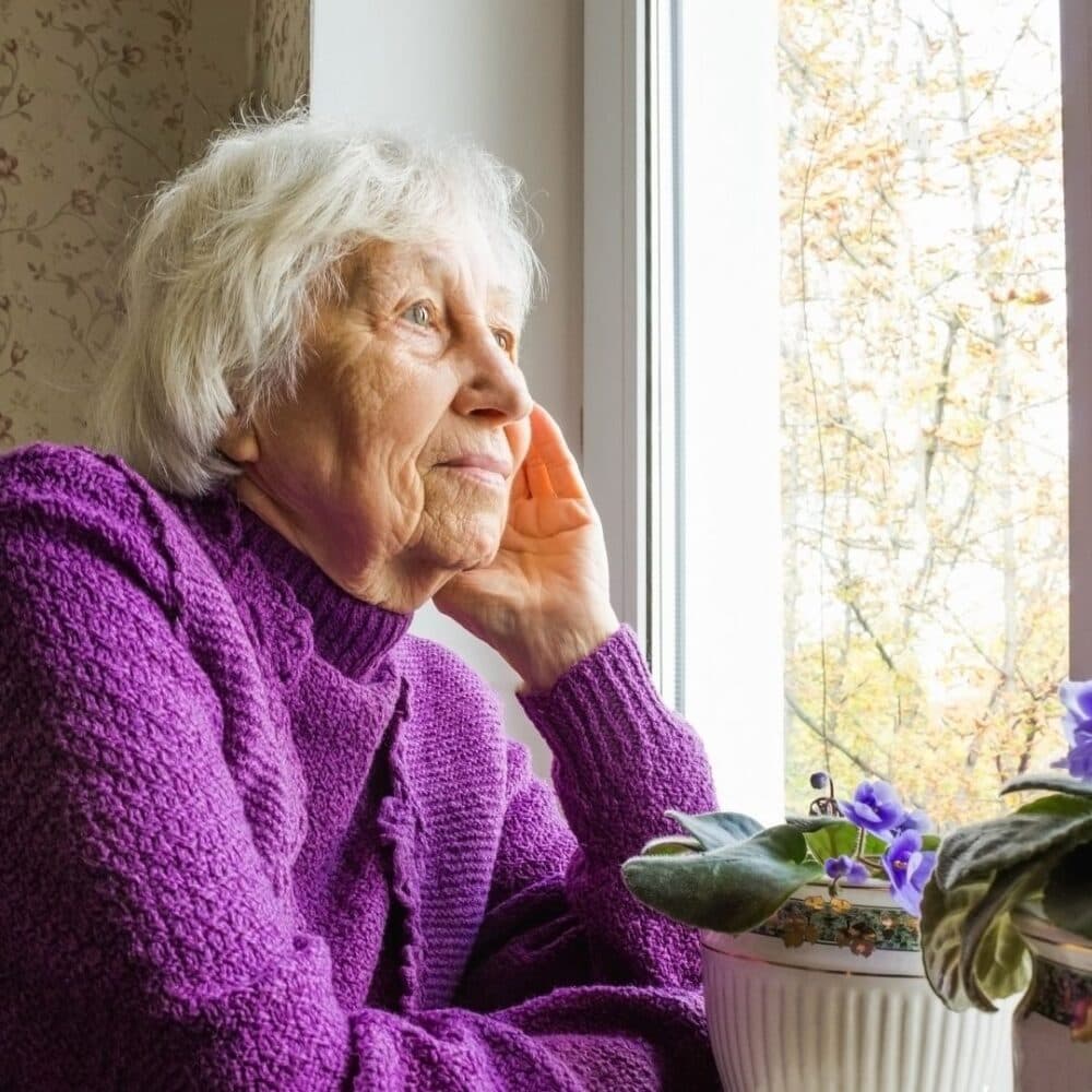 Elderly woman in a purple sweater gazes out a window, sitting beside a plant with violet flowers. - Home Instead