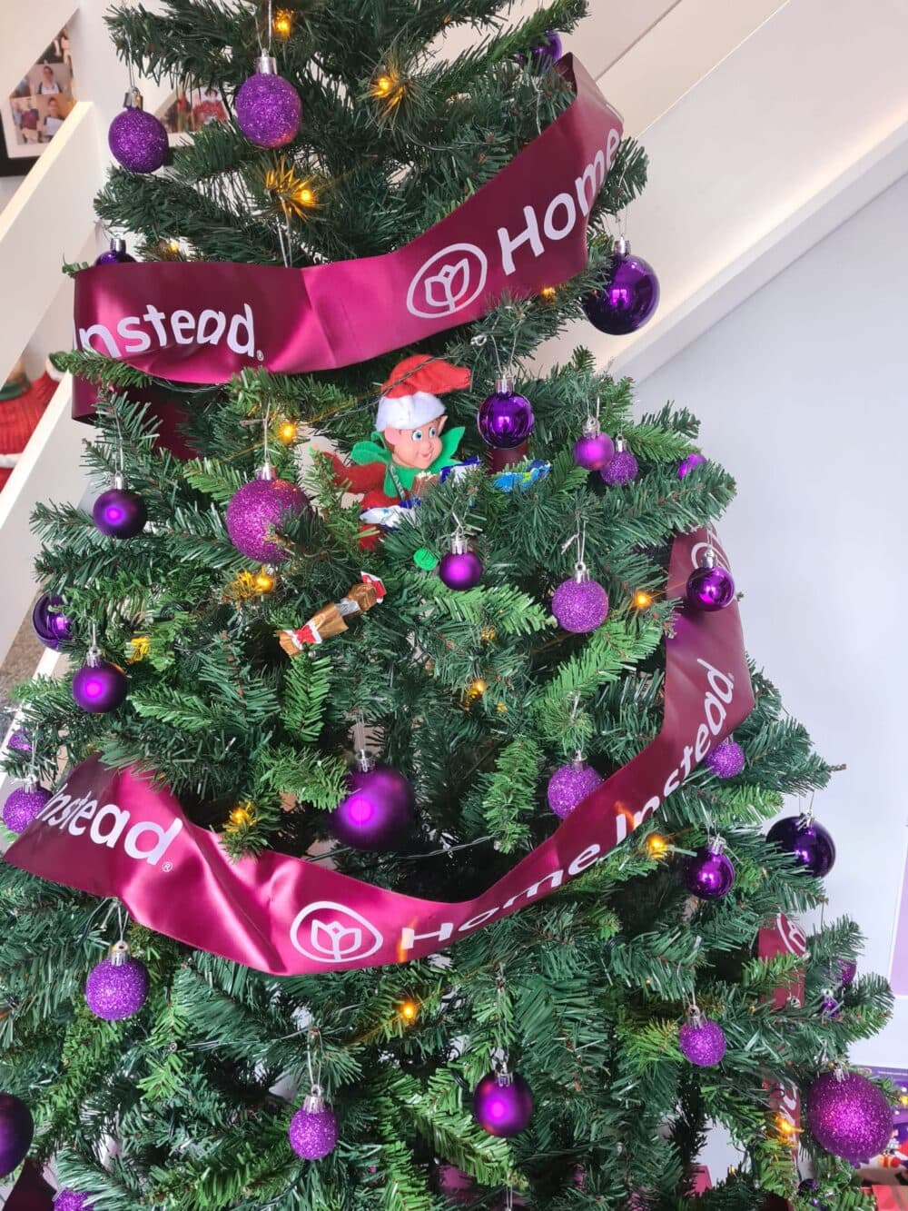 Christmas tree decorated with purple baubles, lights, and Homestead ribbons, with an Elf toy in the branches. - Home Instead