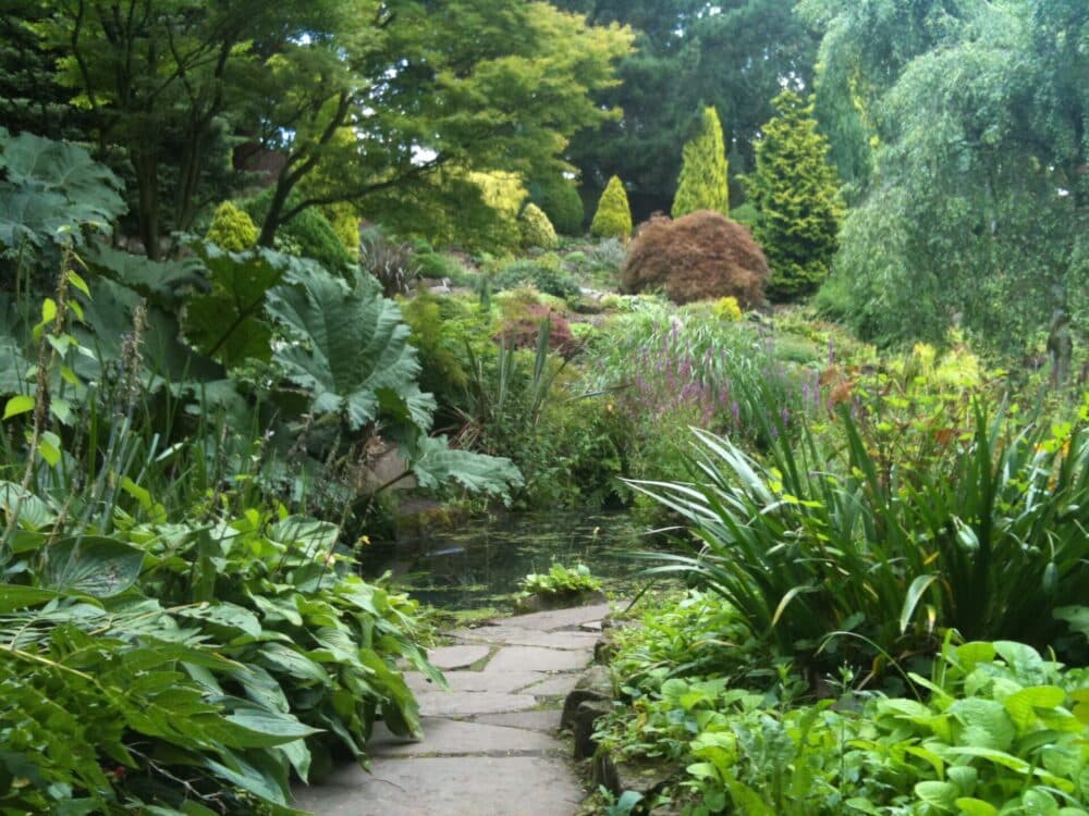 A stone path winds through lush green plants and trees in a peaceful garden. - Home Instead