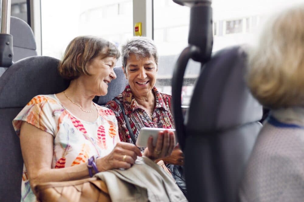 Public Transport Network