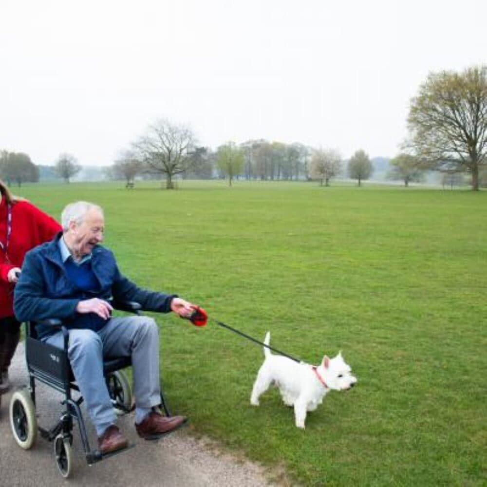 An elderly man in a wheelchair and a woman walk a small white dog in a grassy park. - Home Instead