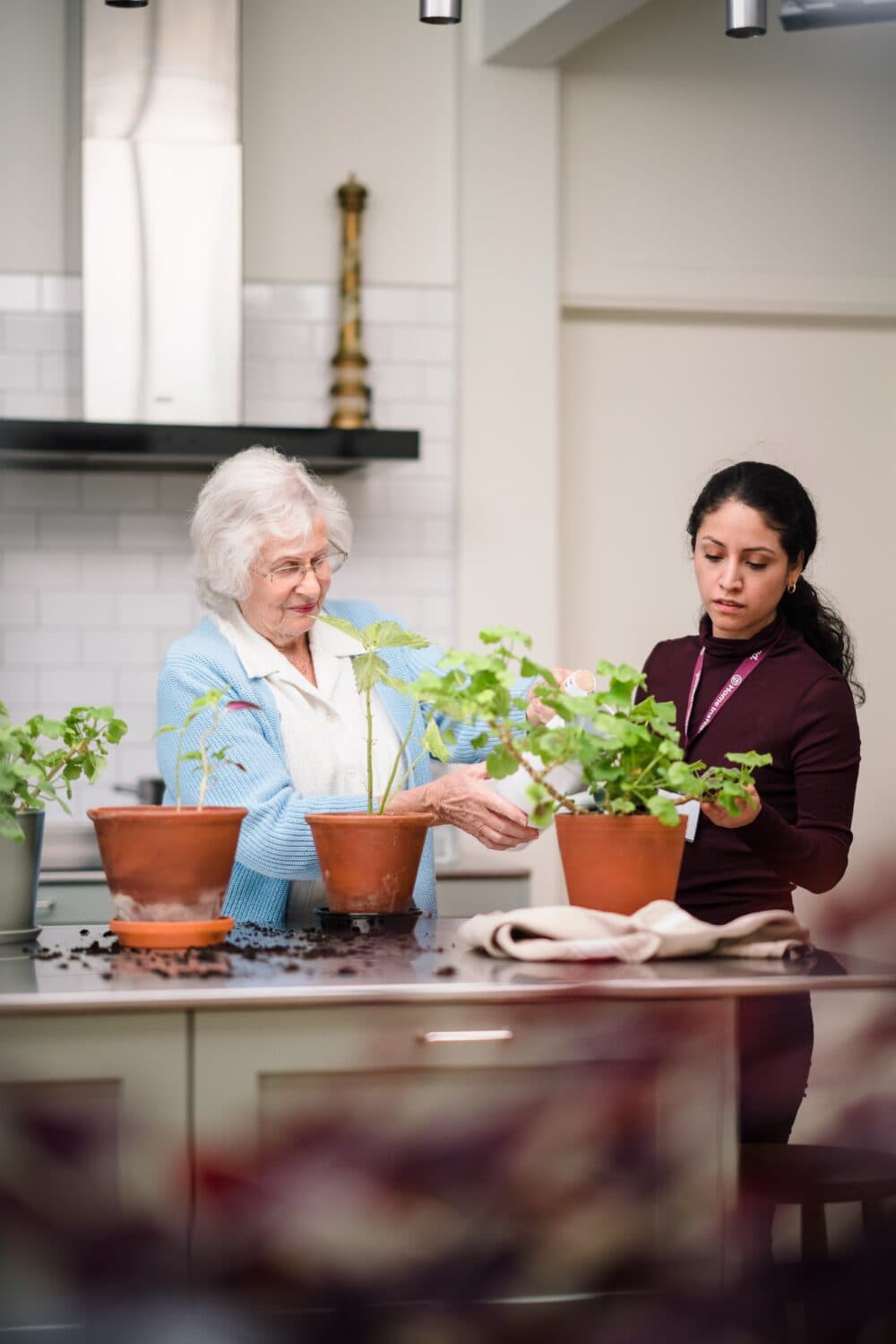 A senior woman planting plants with 3 brown pots on the table with her carer helping her