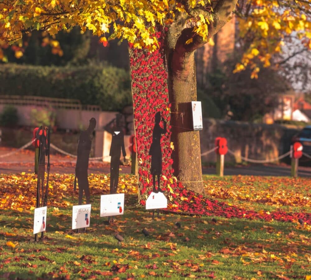 Silent soldiers on the field surrounded by autumn leaves and lots of trees