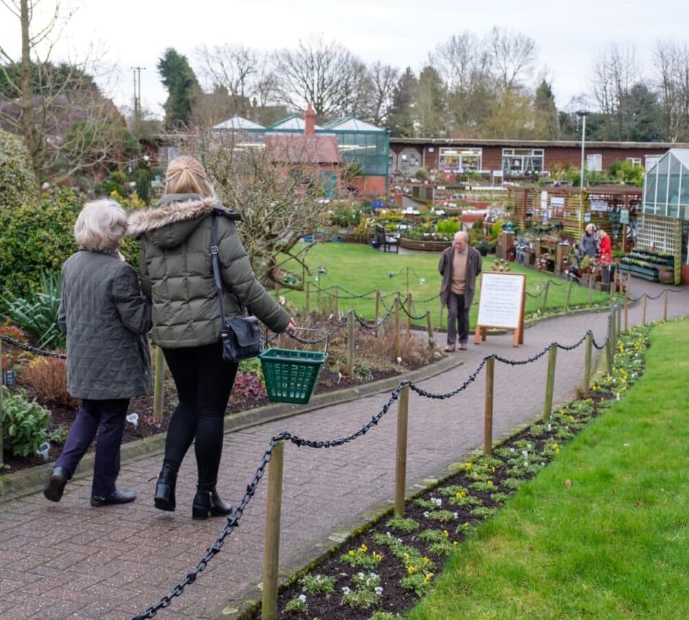 Women walking wearing winter clothes going to a garden with lots of greeneries surrounding them