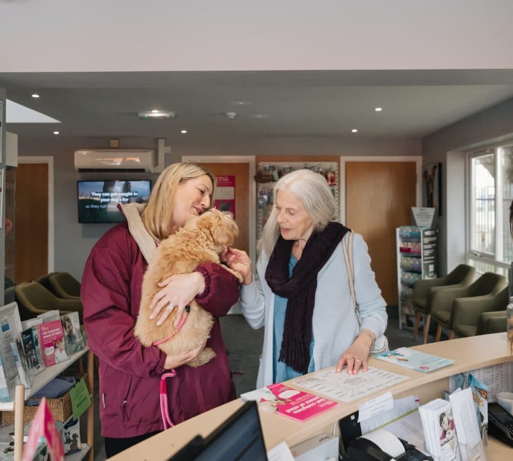 Senior woman with long white hair and wearing a scarf and long sleeves inside an animal clinic with her carer carrying her brown dog