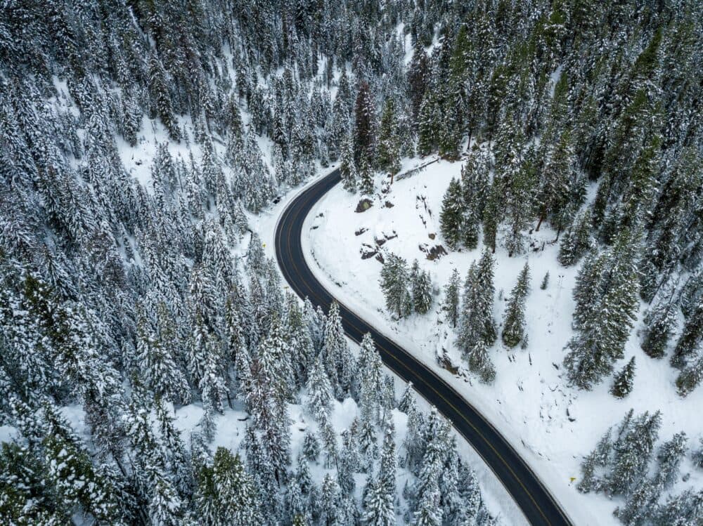 A winding road curves through a snowy forest filled with tall, snow-covered evergreen trees. - Home Instead