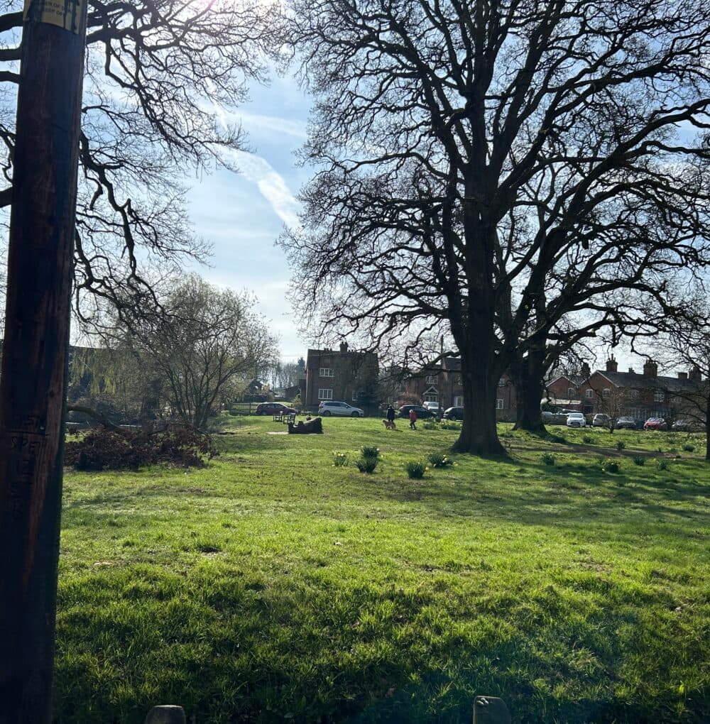 Trusted Home Care support from experienced care professionals in Hartley Wintney