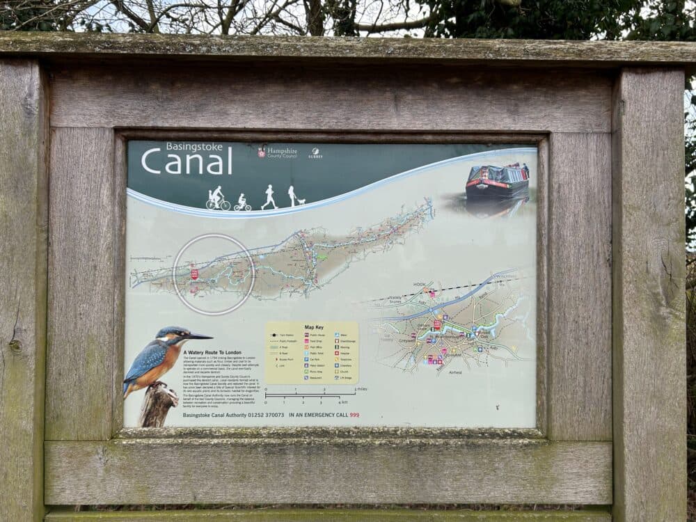 The Home Instead home care team, here to help the Odiham community