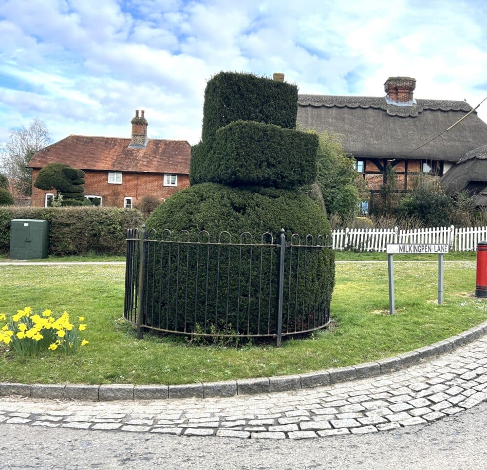 The Home Instead Dementia Care home care team, here to help the Old Basing community