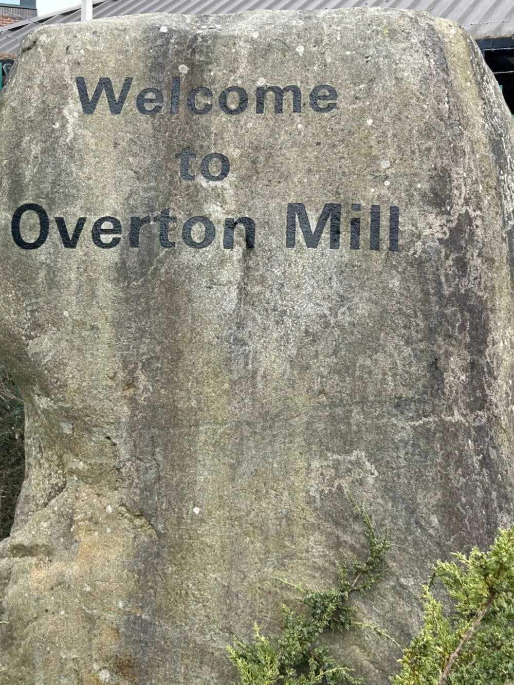 Additional support and activities in Overton for aging adults