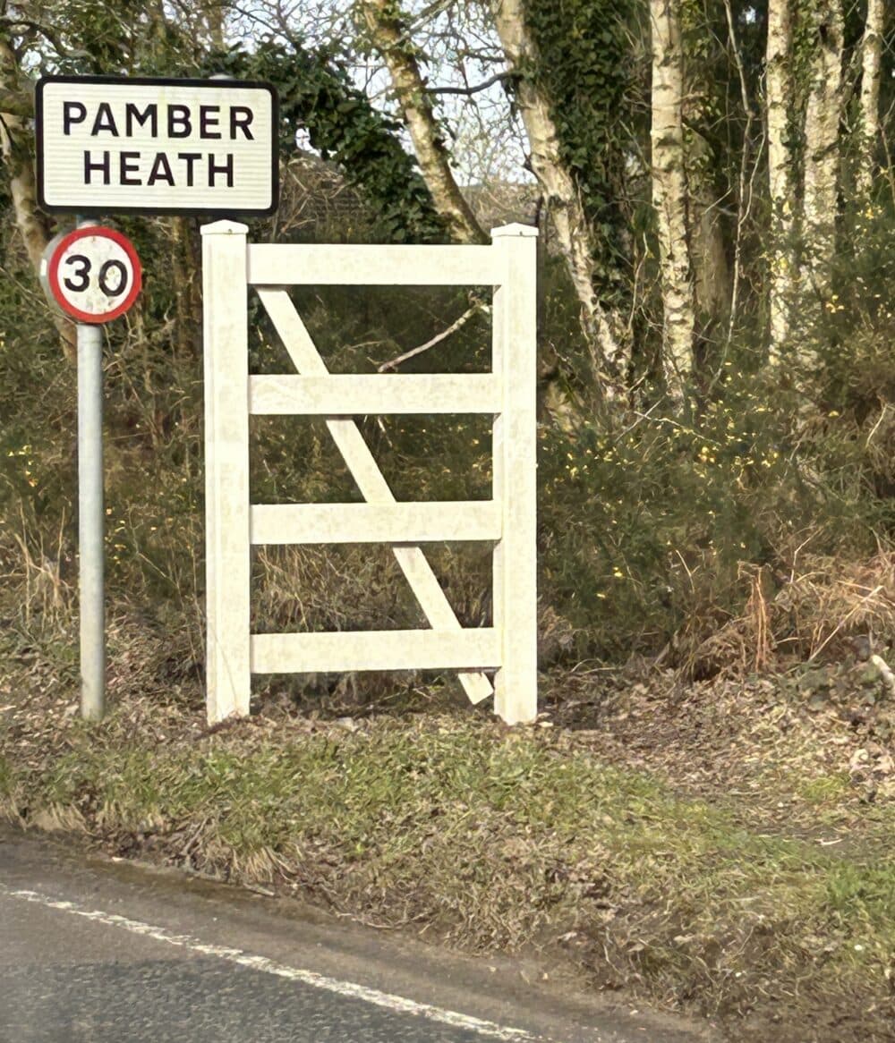 The Home Instead home care team, here to help the Tadley community