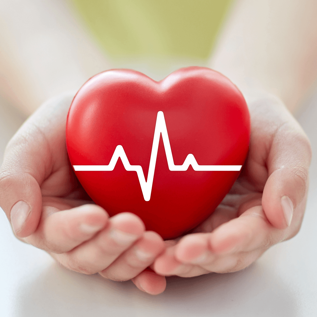 Hands holding a red heart with a white heartbeat line symbol across the front. - Home Instead