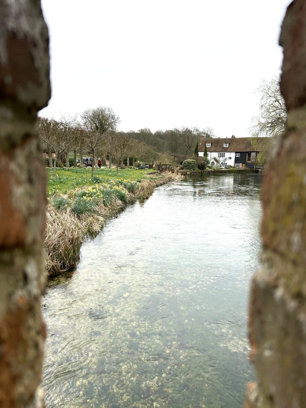 The Home Instead home care team, here to help the Whitchurch community