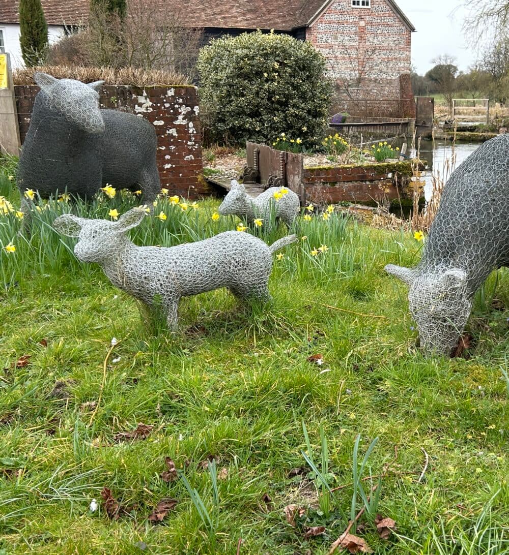 What Home Care Services are available in Whitchurch