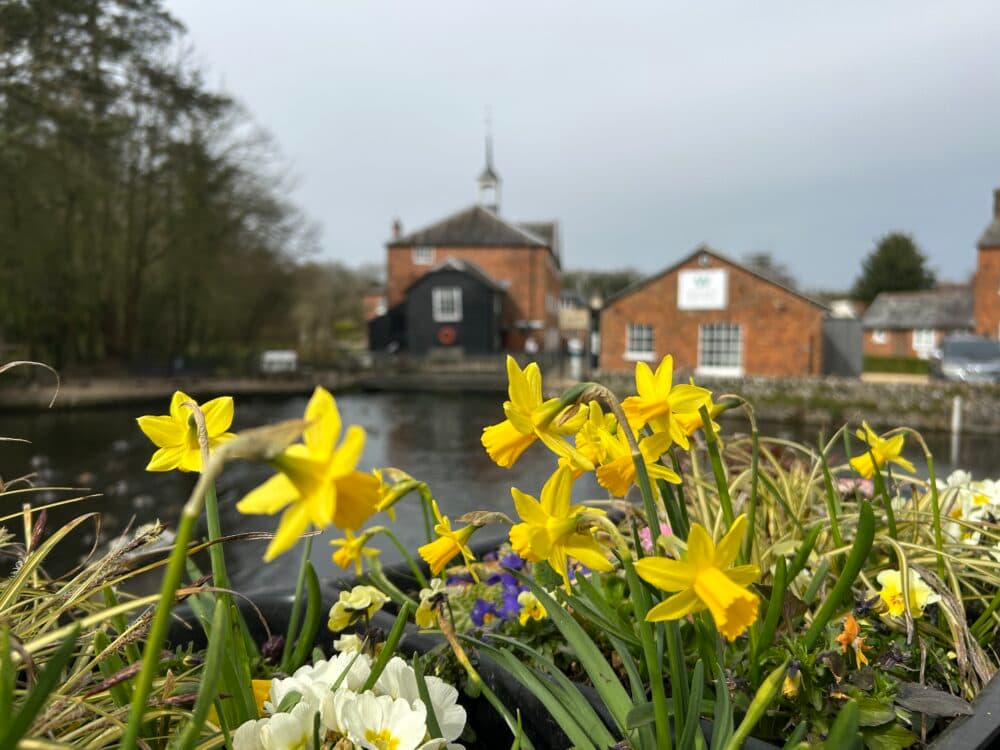 Trusted Home Care support from experienced care professionals in Whitchurch