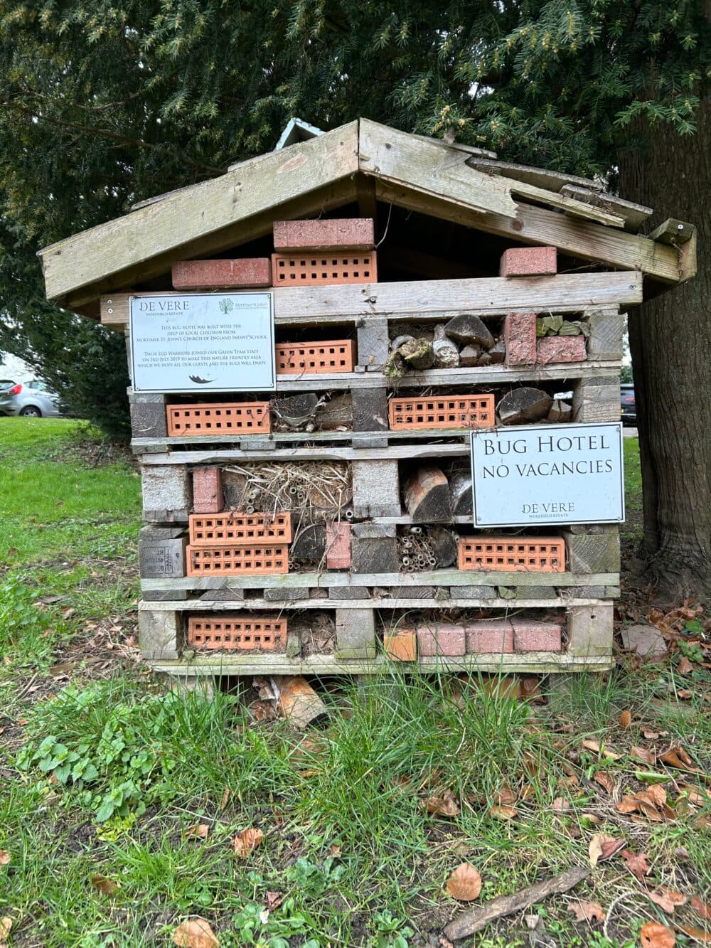 Additional support and activities in Mortimer and Burghfield Common for aging adults