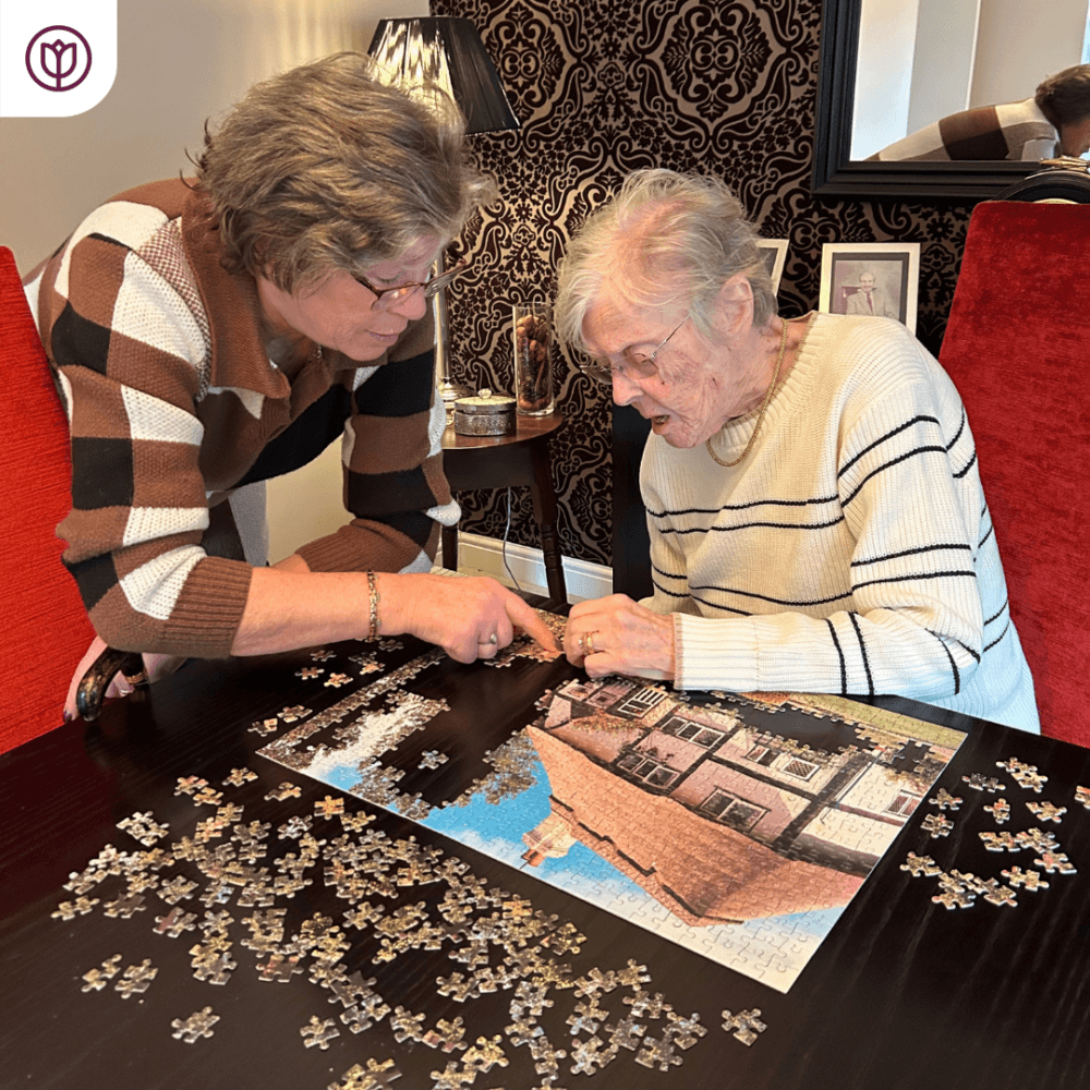 Companionship Home Care