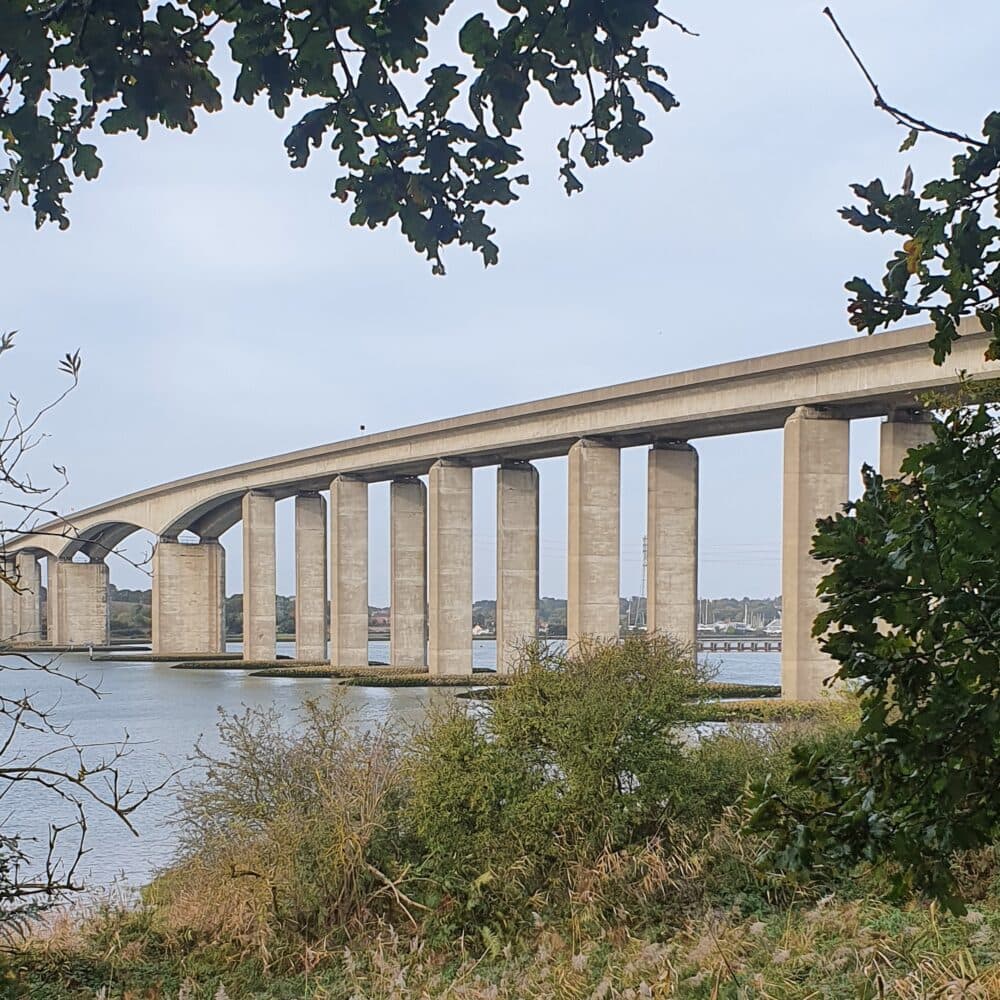 The Home Instead home care team, here to help the Ipswich community