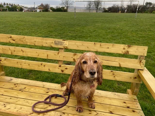 Trusted Dementia Care support from experienced home care professionals in Fowey