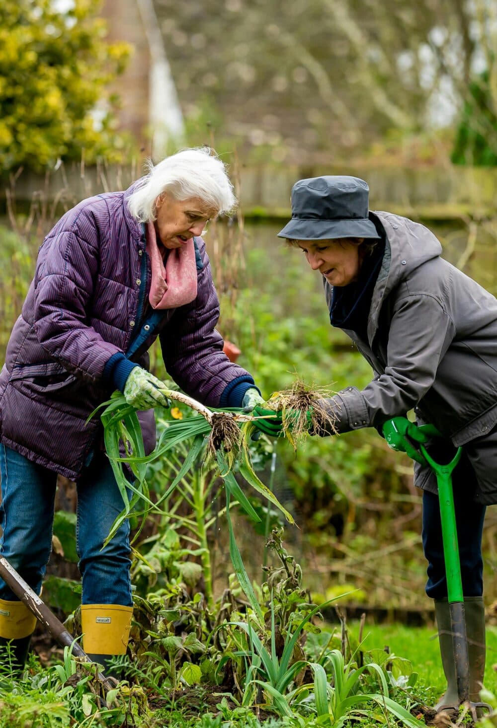 make friends 50s older